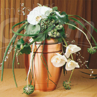 Urne mit Blumenschmuck